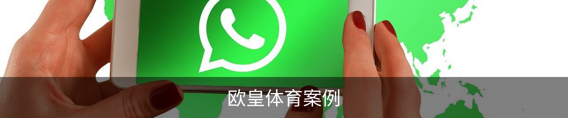 欧皇体育案例